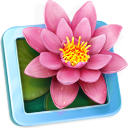 LilyView Icon